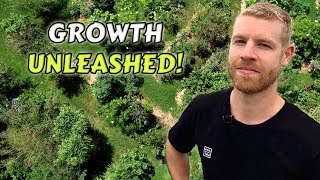 Inspiring Food Forest Tour - Turning a Grass Paddock into an Edible Oasis!