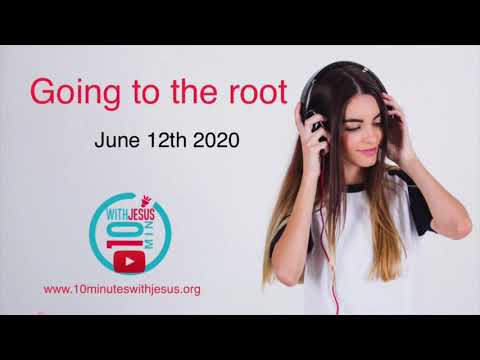 Going to the root - June 12th 2020