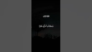 تلاوة قرانية لاتنسى من جمال الصوت ما شاء الله
