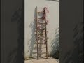 5 Trellis Ideas for Small Spaces | Easy DIY Garden Trellis Projects for Tiny Balconies &amp; Yards