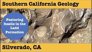 Southern California Geology | Fossils found in the Ladd Formation