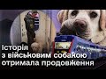 🐶 “Заговорив” вже сам собака! Військовий лабрадор в тамбурі спровокував ланцюгову реакцію!