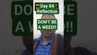 Don't Be The Weed!!#REFLECTION #wisdom