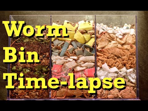 3-chamber Carbon-only WORM BIN 100-Day TIME-LAPSE - FAST - vermicomposting