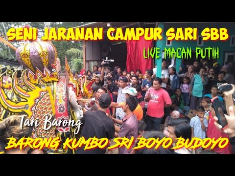 Tari Barong  Kumbo SBB Sri Boyo Budoyo Live Macan Putih  