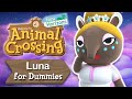 Luna and Dreaming for Dummies