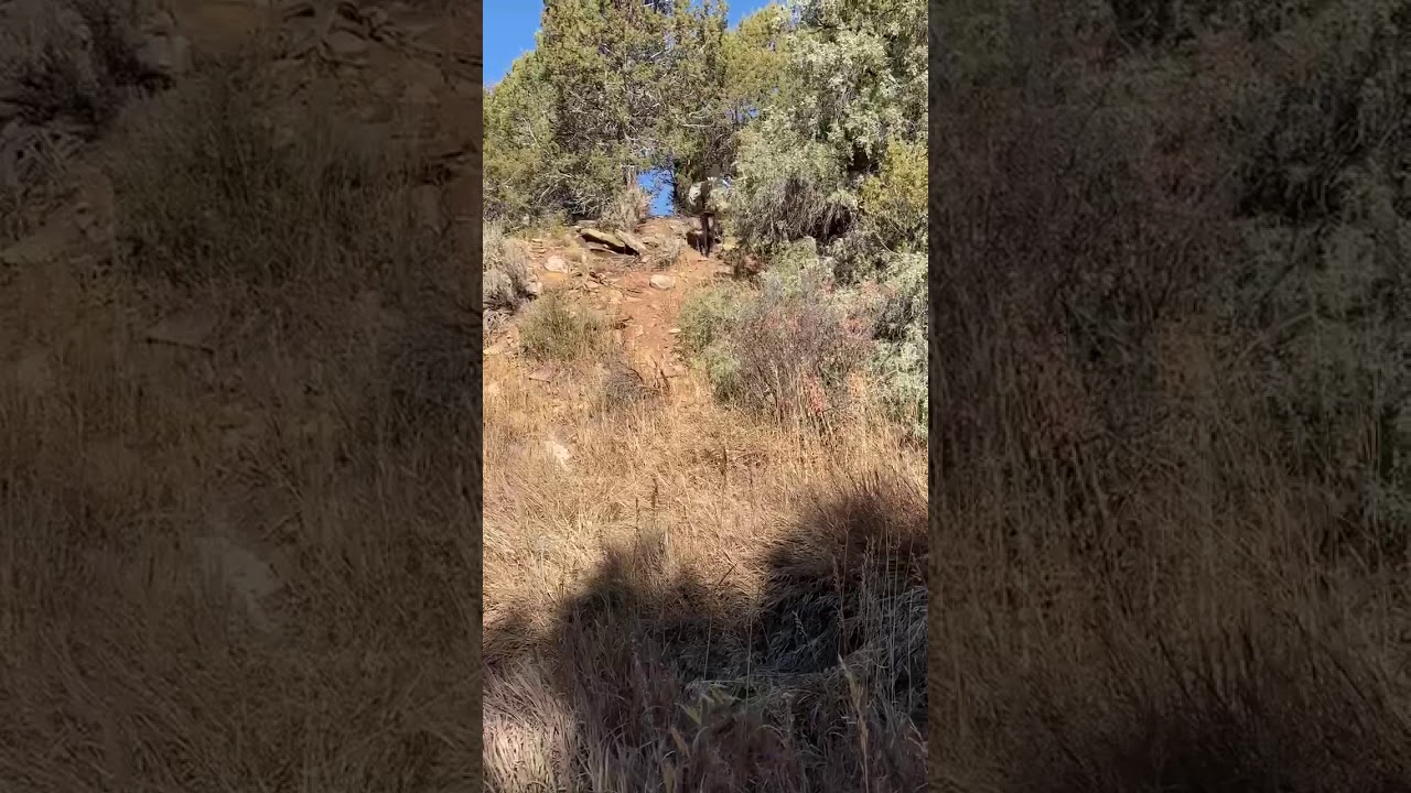 Trisha Training Video #2