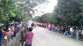 Carreras de caballos en Pileta, Corozal.