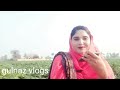 Apne fan ke sath prank  pakistani girl prank  gulnaz vlogs