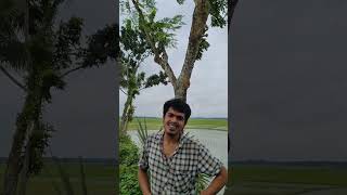 প্যারিস রোড ঝিনাইদহ - Paris Road Jhenaidah #Jhenaidah #touristplace #weather #Paris