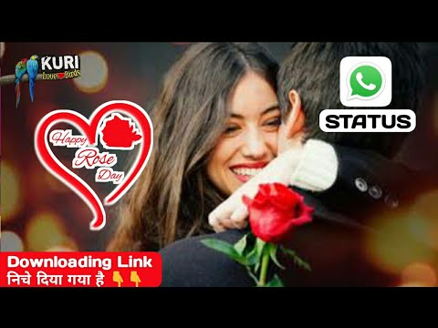 rose-day-whatsapp-status-2019💕-rose-day-status-😍😍-romantic-rose-day-status-♥-kuri-love-birds-🕊🕊