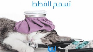 علاج تسمم القطط