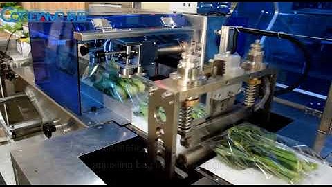 automatic flow packing machine for romaine lettuce,servo flow wrap machine