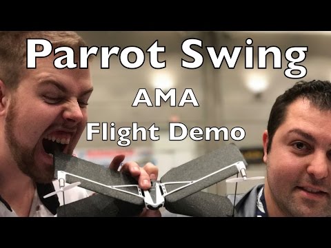 parrot swing tricks