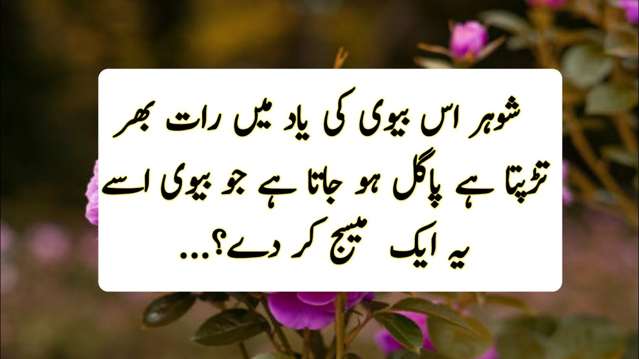Life Changing Urdu Quotes |Bano Qudsia Quotes In Urdu| Alfaaz-e Zindagi | Golden Words