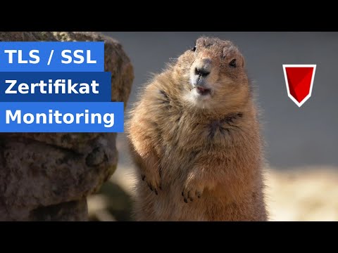 Monitoring von TLS/SSL-Zertifikaten mit Open-Source Tools