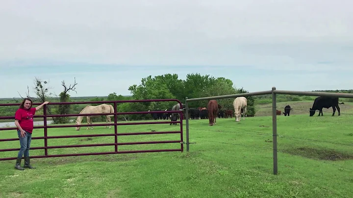 Speech on the Farm 2