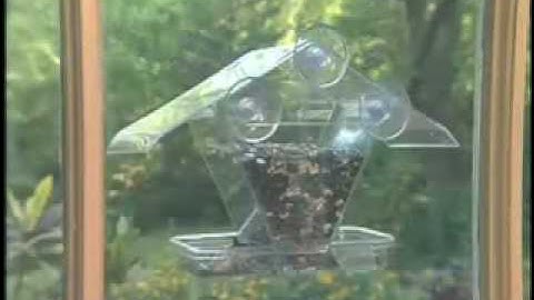 Aspects, Inc. Window Cafe Bird Feeder