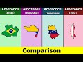 Brazilian Amazonas vs Colombian Amazonas vs Venezuelan Amazonas vs Peruvian Amazonas | Data Duck 2.o