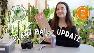 Unbox More Plant Mail with me from TGE on Etsy & Update on the Last Round
