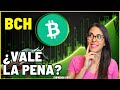 ¿Cuántos tipos de bitcoin hay y cómo ganar con BITCOIN CASH?