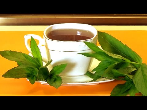 Мята перечная польза или вред  как правильно заварить чай с мятой