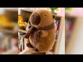 Resenha: Brinquedo Capivara Pelúcia Cachecol Inverno - Capibara Filó Marrom