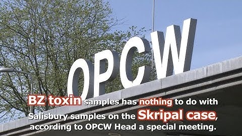 OPCW Head: BZ Toxin Samples Has Nothing to Do With Salisbury Samples on the Skripal Case