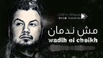 Wadih El Sheikh-Mech Nedman (Dj Joe.S Remix ft Majd Khattar) 2019 وديع الشيخ مش ندمان