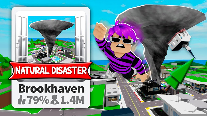 I CREATED THE NATURAL DISASTERS BROOKHAVEN