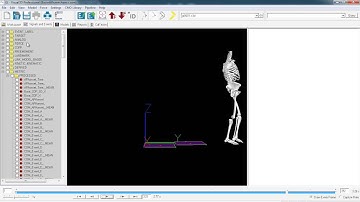 Visual3D for Physical Therapists and Sport Scientists - Tour