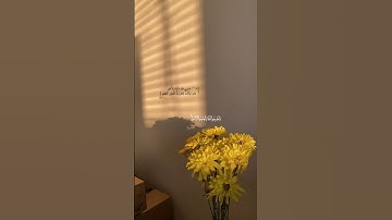 القرآن الكريم||وأطيعوا الله وأطيعوا الرسول||القارئ رعد الكردي||القرآن 🌸🤍||