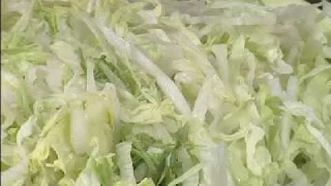 Hobart FP250 5/32" Slicer Plate Slicing Lettuce