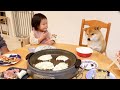 ３歳娘と柴犬と一緒に食卓を囲むとハプニング続出の楽しい夕飯になった｜犬と子供のvlog