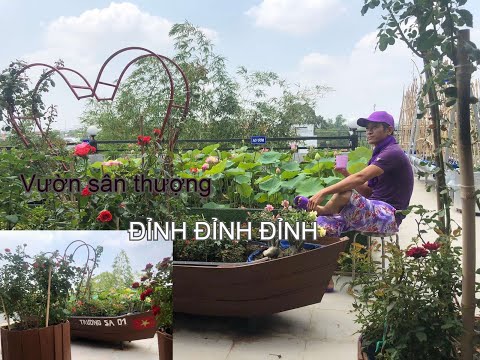 Chủ vườn sân thượng ĐỈNH CỦA ĐỈNH bày bí kíp NGON BỔ RẺ | THÍCH TRỒNG CÂY TV