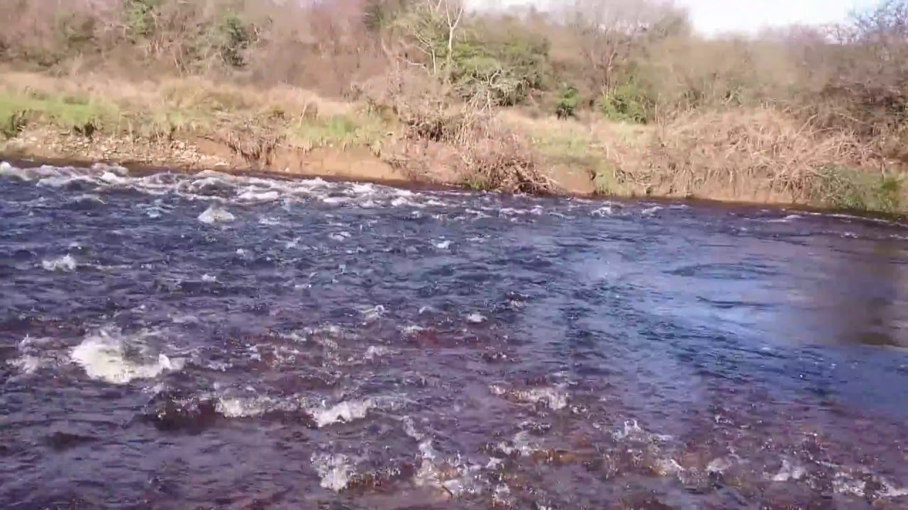 Birth of an Ox Bow Lake River Feale 22 Feb 2016 YouTube