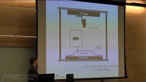 Mapping the Structure of Animal Behavior