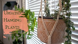 Updated Hanging Plants The Best Way To Maximize Your Space
