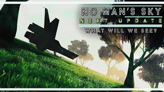 What WILL We See In NEXT? | Speculation | No Man's Sky