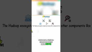 7   Unlocking the Hadoop Ecosystem  Key Components Explained