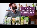 Cata de Vino Blanco Argentino en Tetra Brik | Por menos de U$S 1.50