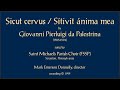 Sicut cervus / Sitívit ánima mea (Palestrina)