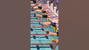 The BEST START in swimming?