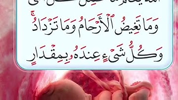 تلاوة من سورة الرعد ( الله يعلم ما تحمل كل أنثى )