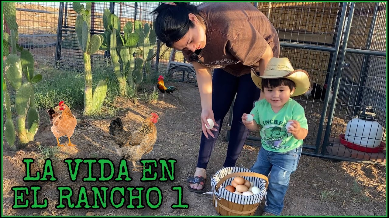 EL PEQUEÑO AVENTURERO 1 @AVENTURAS DEL OESTE  @AVENTURAS AL EXTREMO