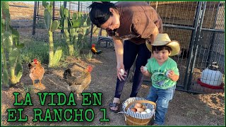 THE LITTLE ADVENTURER 1 @AVENTURASDELOESTE @Aventurasalexxtremo