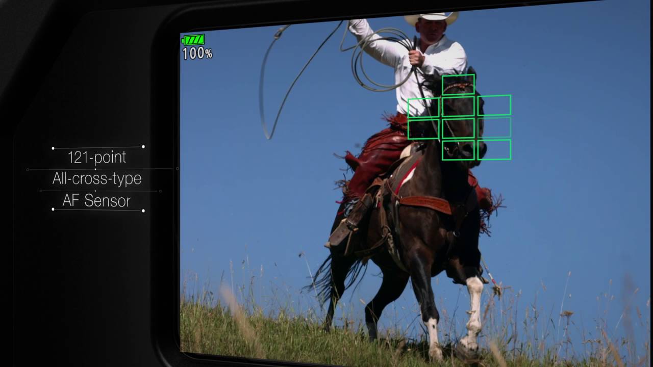 High-speed Performance | OM-D E-M1 Mark II | Olympus