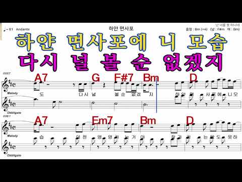 하얀면사포  진시몬   가수처럼 엠알로  악보  노래 하기  여자  Bm