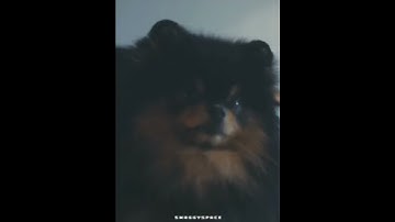 lost soul?? || #taehyung #tae #v #taehyungedit #bts #btsarmy #btsshorts #kpop #rainydays #yeontan