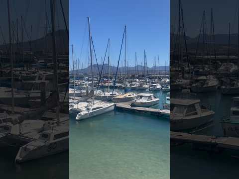 Gordon’s Bay kind of day 🎣🌅#jagtyd #fishing #Harbourfishing #Gordonsbay #addictedfishing